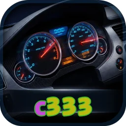 c333